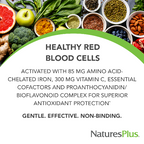 NaturesPlus Hema-Plex Iron - 60 Fast-Acting Capsules