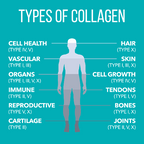 NaturesPlus Collagen Peptides - 0.65 lbs